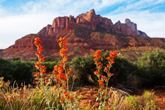 Anasazi Way 58